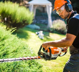 A landscaper using a hedge trimmer on a bush