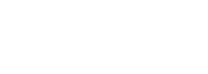 Northern Wholesale logo